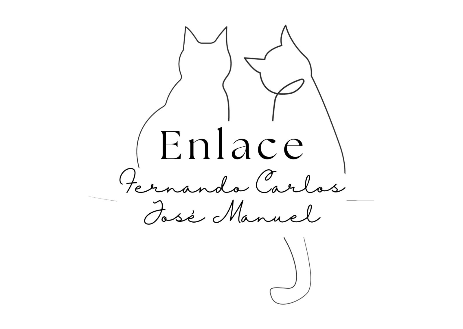 Nuestra Boda